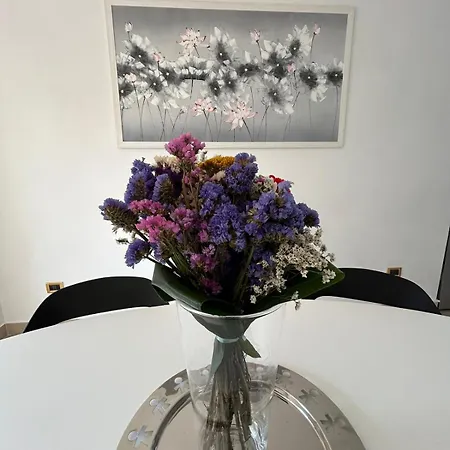 Raffaella Appartement